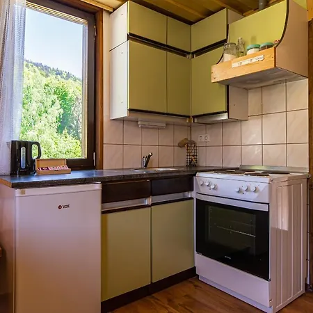 The Blueberry With Whirlpool * Gorenja Vas (Gorenja Vas-Poljane)