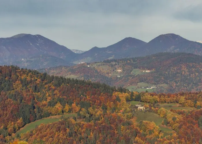 The Blueberry With Whirlpool *