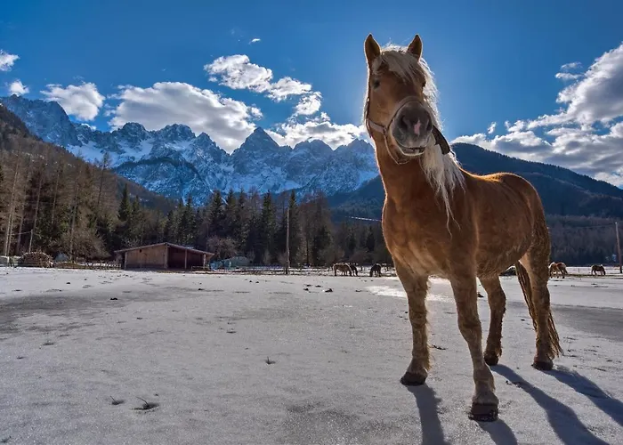 The Blueberry With Whirlpool Hotel *