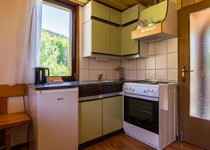 The Blueberry With Whirlpool * Gorenja Vas (Gorenja Vas-Poljane)